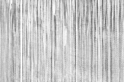 Susan Morris Plumb Line Drawing_009, 2009 (Detail)